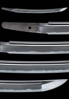 脇差　播磨守藤原輝広作　(WA-100525)-2