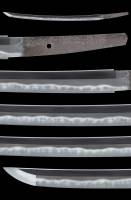 脇差　播磨守藤原忠国(初代) (蟹牡丹紋)(菊紋) (WA-120125)-3